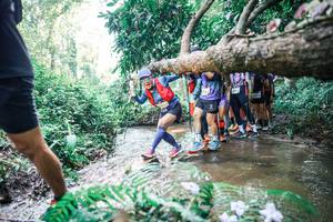 BIB: 
                            <button type="button" onclick="openModal(25468136)" class="btn btn-primary btn-sm float-right btn-popup" data-toggle="modal" data-target=".modal-high-quality">
                        <i class="fas fa-shopping-cart"></i> Add to Cart
                    </button>
                                            <button type="button" onclick="isThisMe(25468136, true)" class="btn btn-success btn-sm float-right btn-popup btn-isme hidden" data-toggle="tooltip" data-placement="bottom" title="นี่คือรูปของคุณใช่ไหม คลิกที่นี่เพื่อเอาเข้าอัลบั้ม">
                        <i class="fas fa-plus"></i> Add to album
                    </button>
                    <button type="button" onclick="isThisMe(25468136, false)" class="btn btn-warning btn-sm float-right btn-popup btn-isnotme hidden">
                        <i class="fas fa-ban"></i> Remove from album
                    </button>